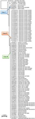 Sequence similarity of SARS-CoV-2 and humans: Implications for SARS-CoV-2 detection